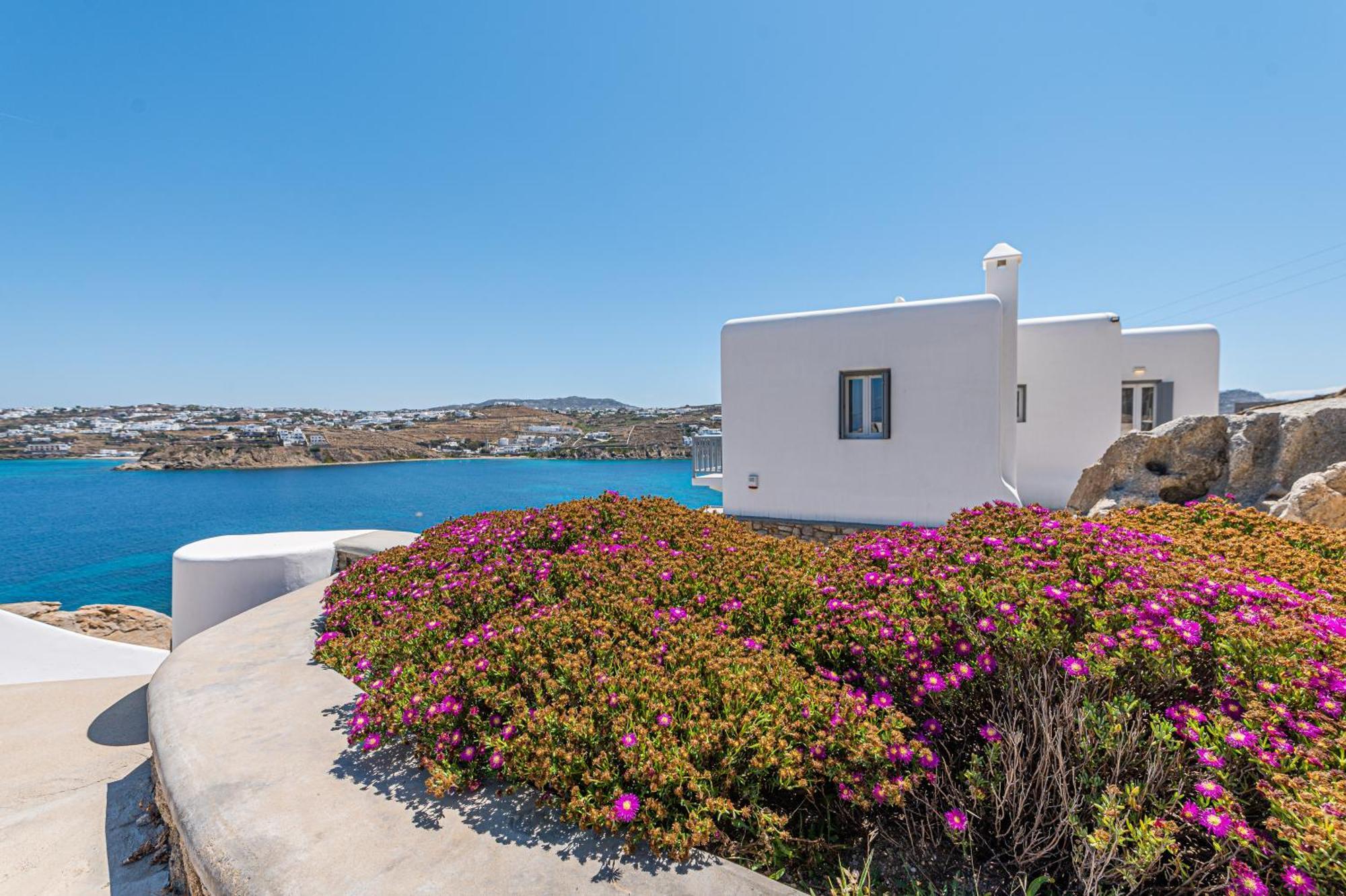 Pousada Carpe Diem Mykonos ,heated Pool!